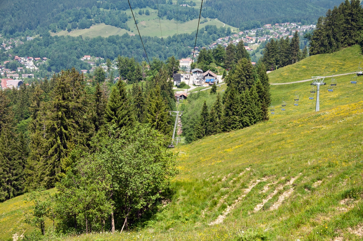 _dsc0213yauxu.jpg