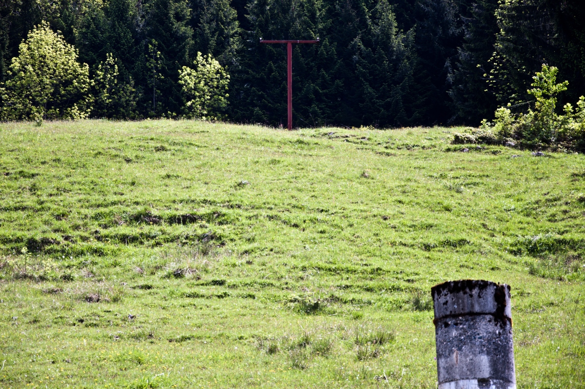_dsc0214xjcb1.jpg