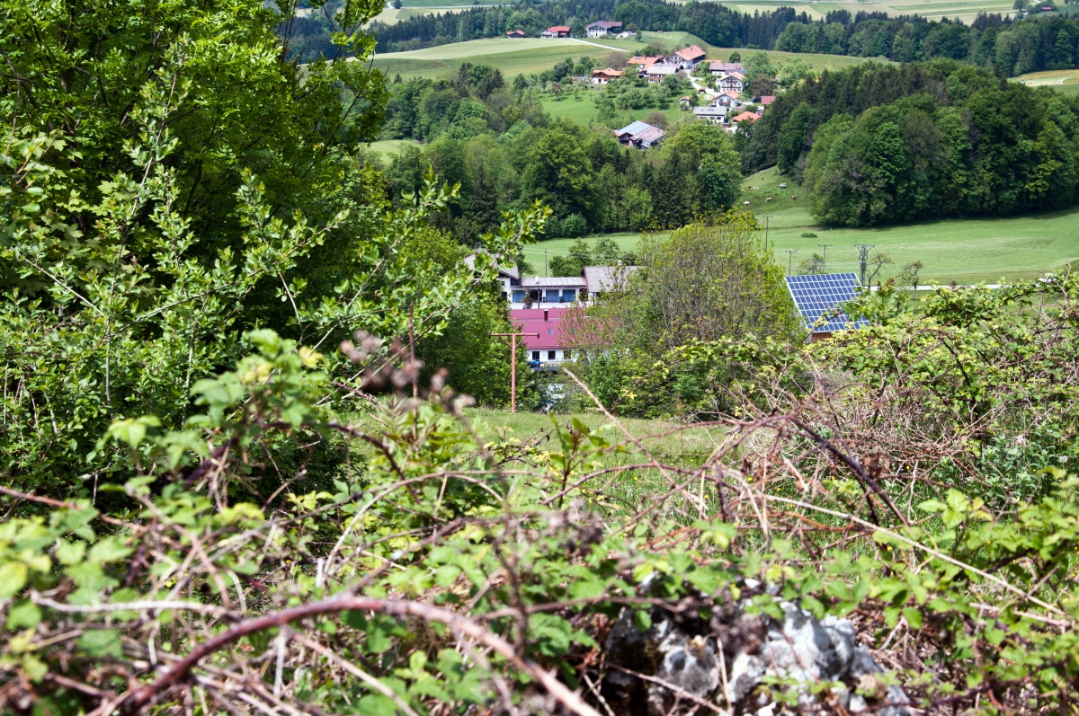 _dsc02170oi66.jpg