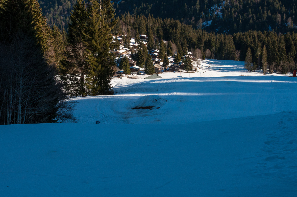 _dsc0217qvjha.jpg