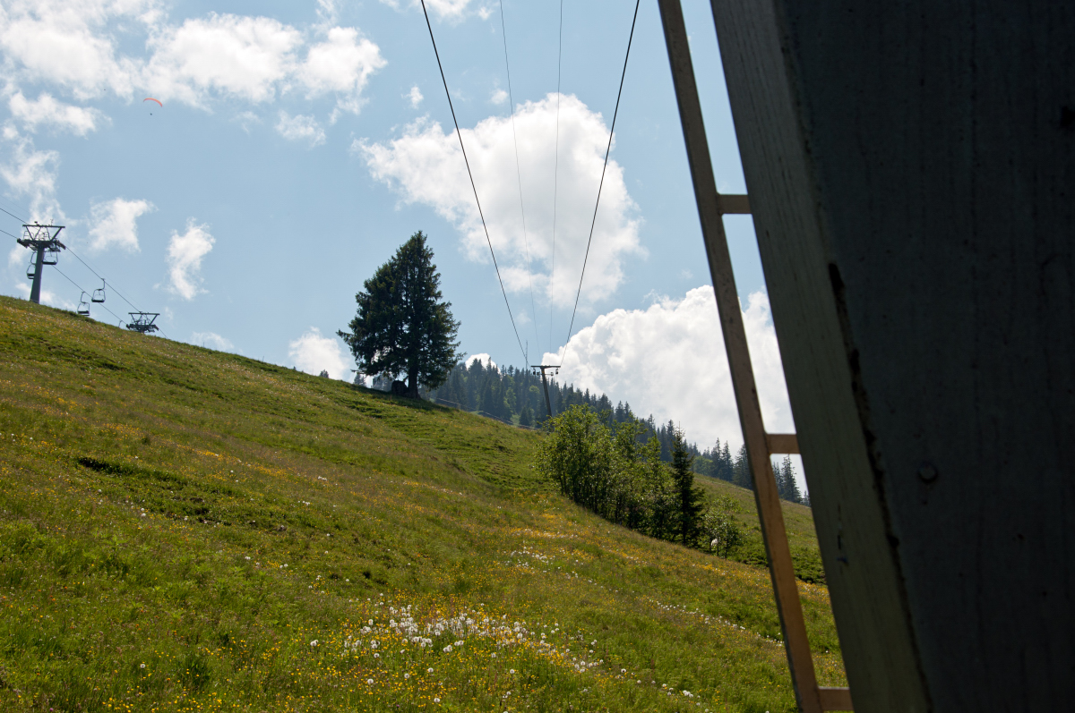 _dsc0218apuz7.jpg