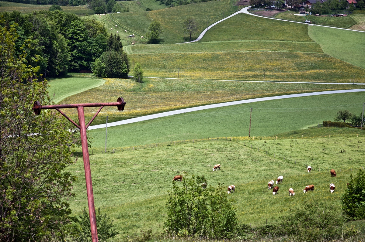 _dsc0218y1c5o.jpg