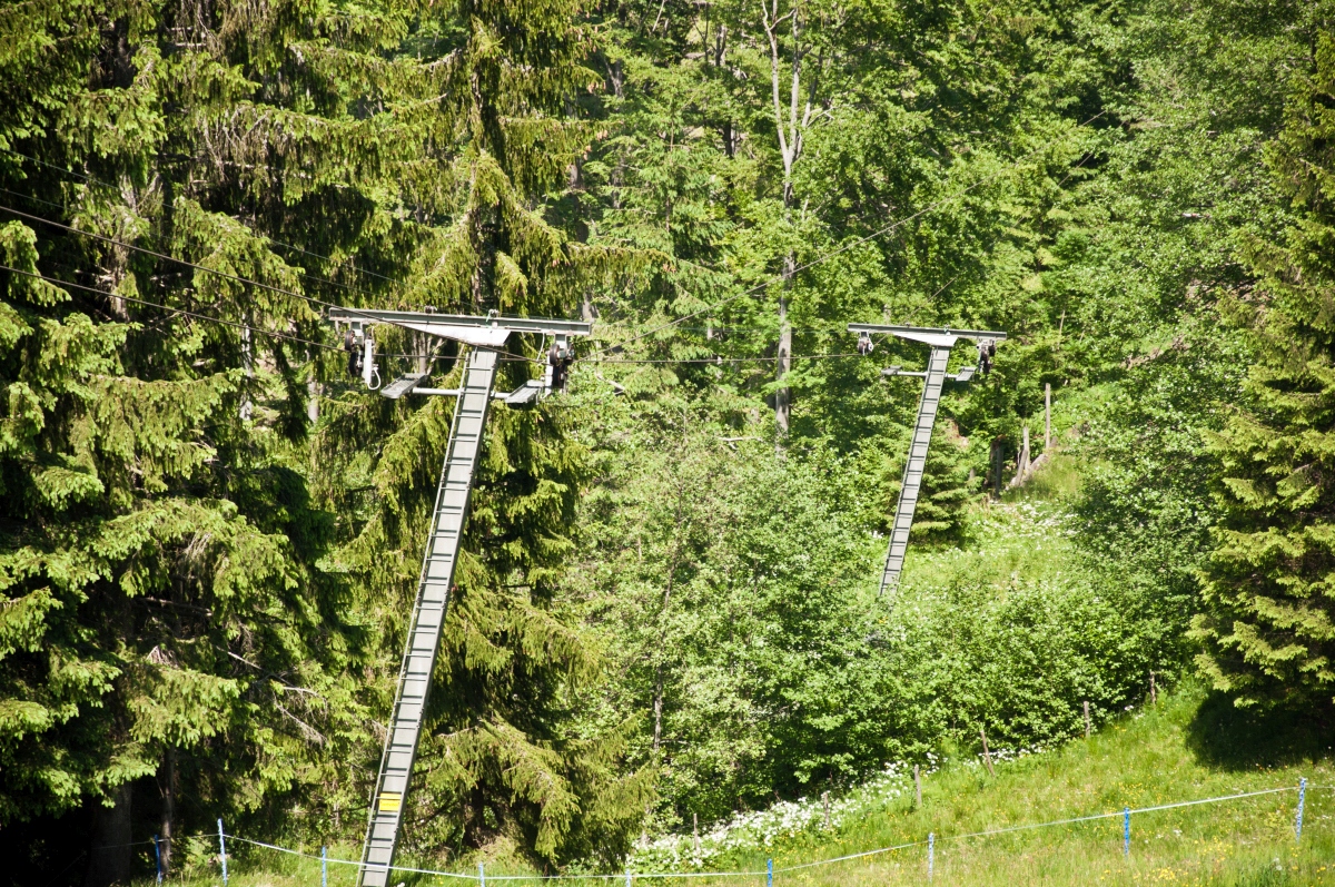 _dsc02198aug8.jpg