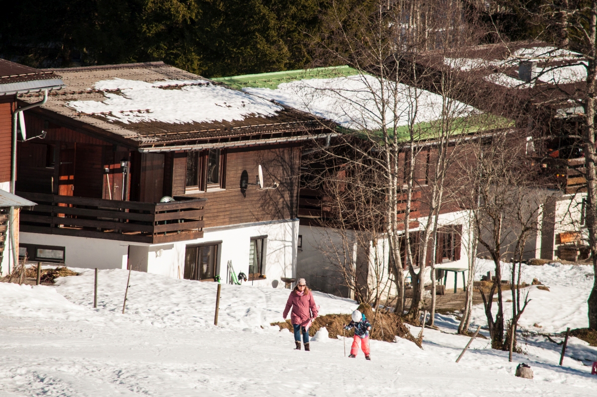 _dsc022692jqx.jpg