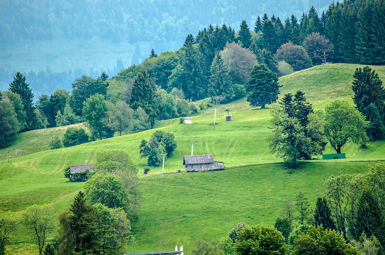_dsc0238vqog3.jpg