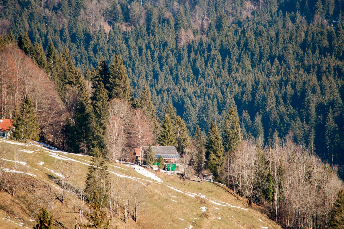 _dsc0241k9ku4.jpg