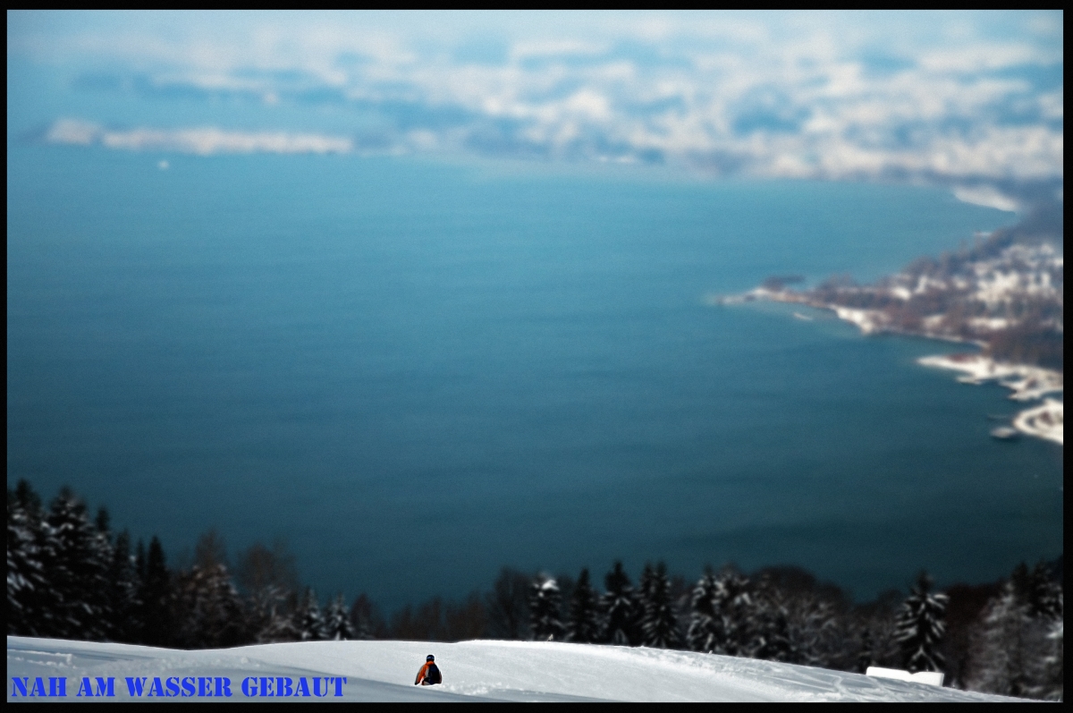 _dsc0241vnkaz.jpg