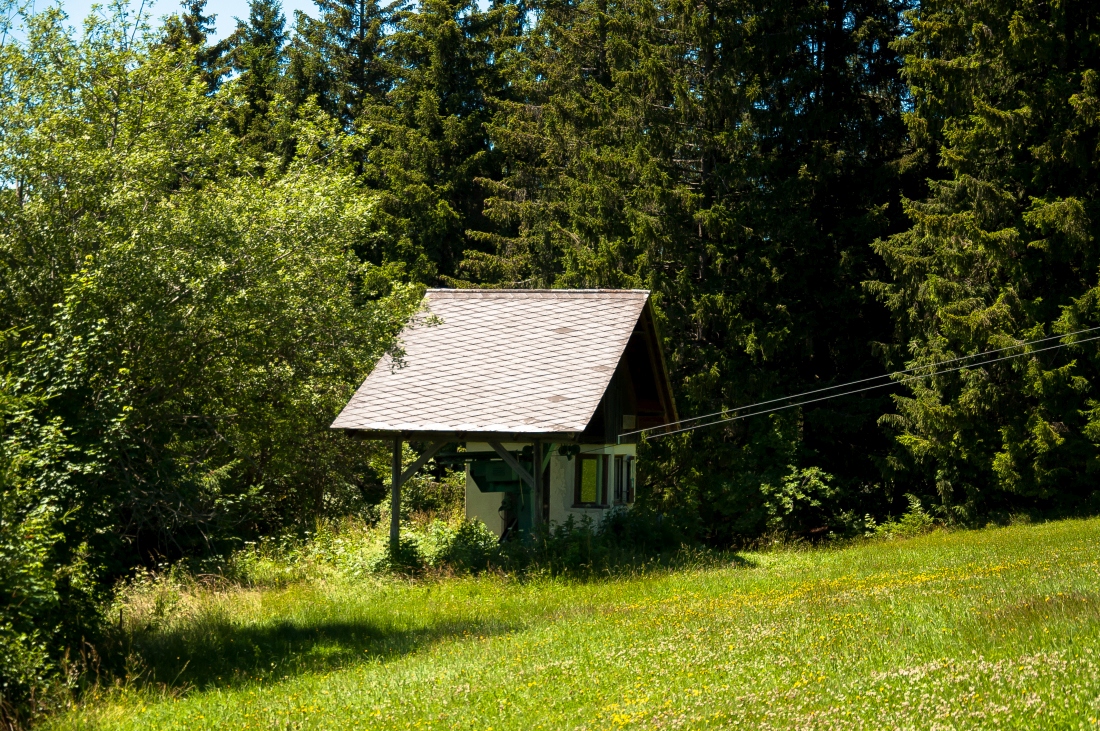 _dsc0242uifao.jpg