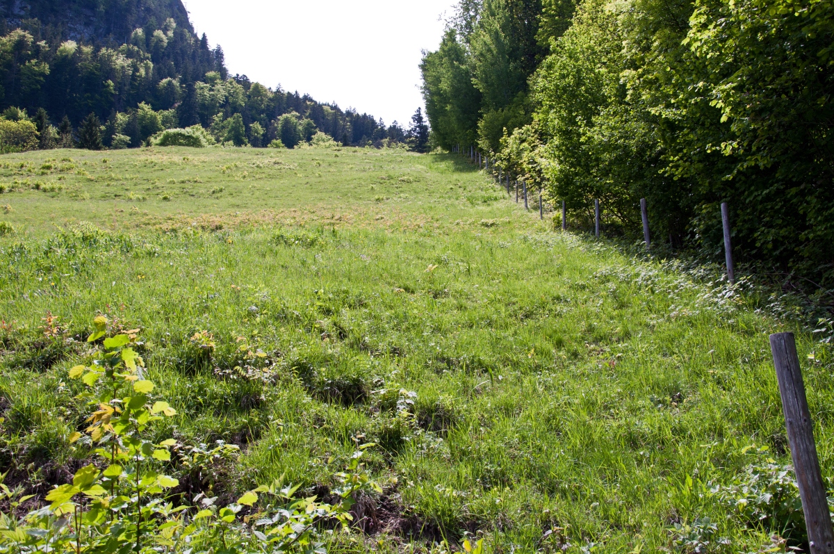 _dsc0244vqewd.jpg