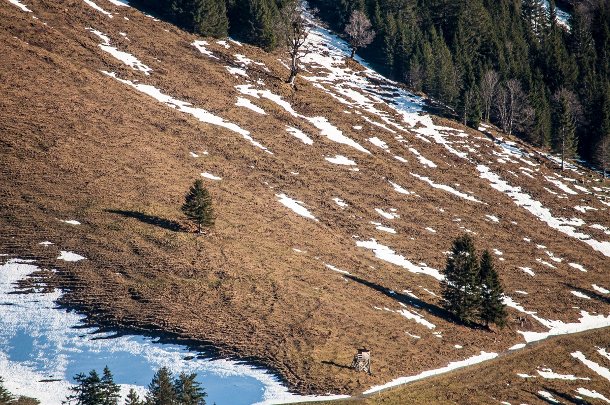 _dsc0248cnjt8.jpg