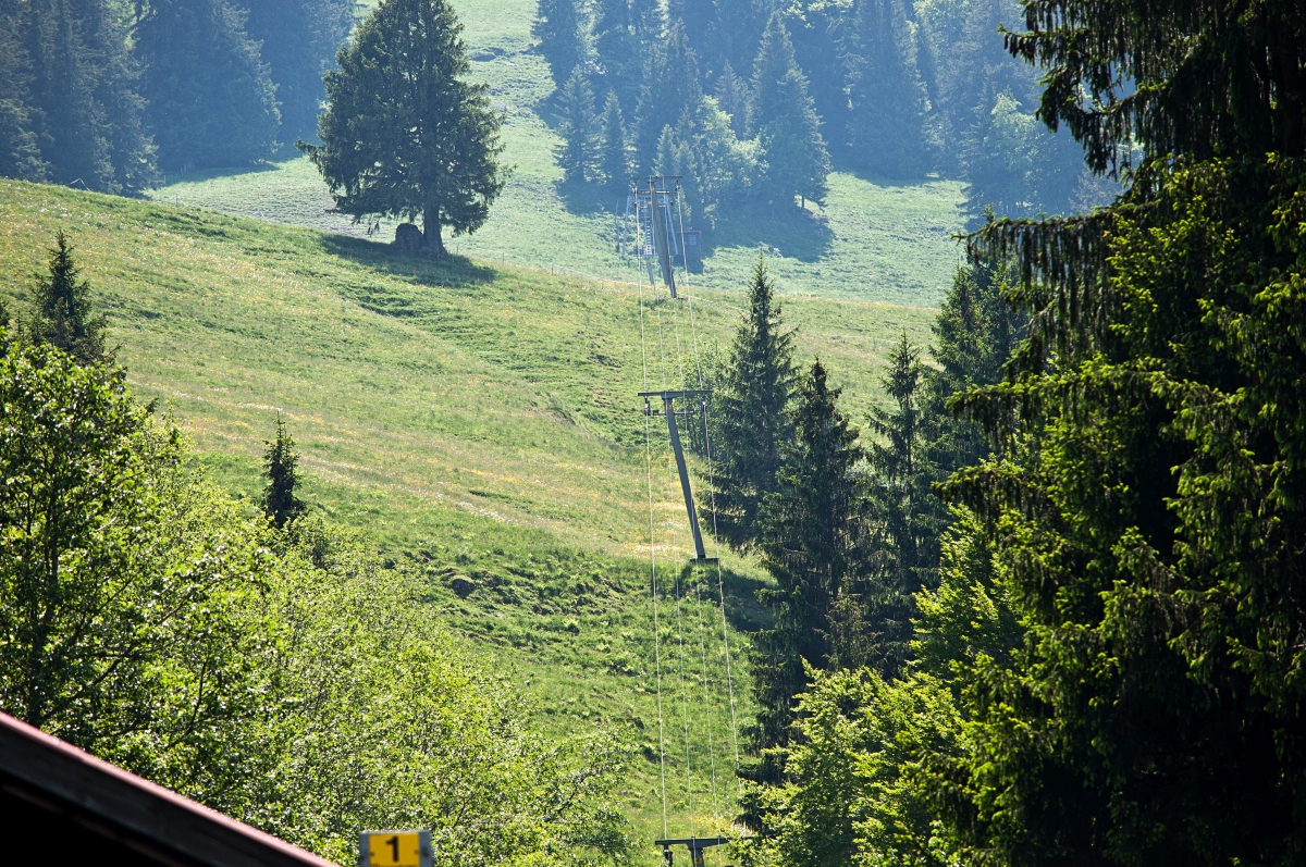 _dsc0249ayjcd.jpg