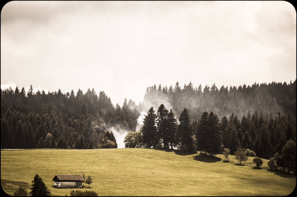_dsc02508bqfx.jpg