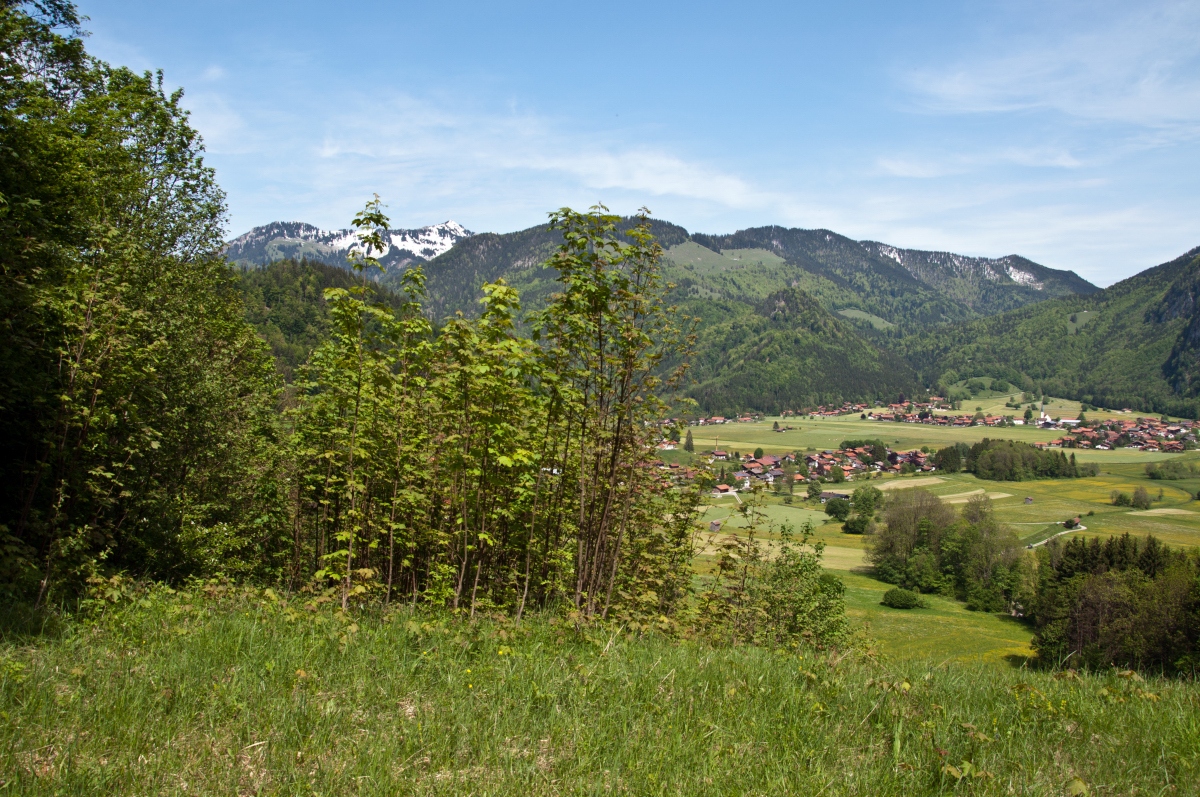 _dsc0251cpcj1.jpg