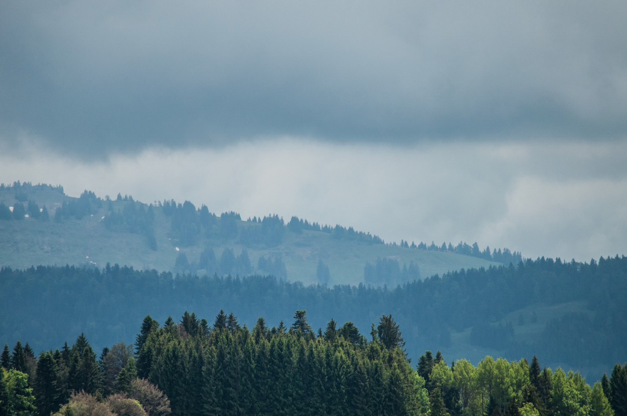 _dsc02542wq3y.jpg