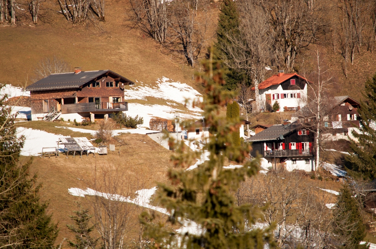 _dsc0255najyz.jpg