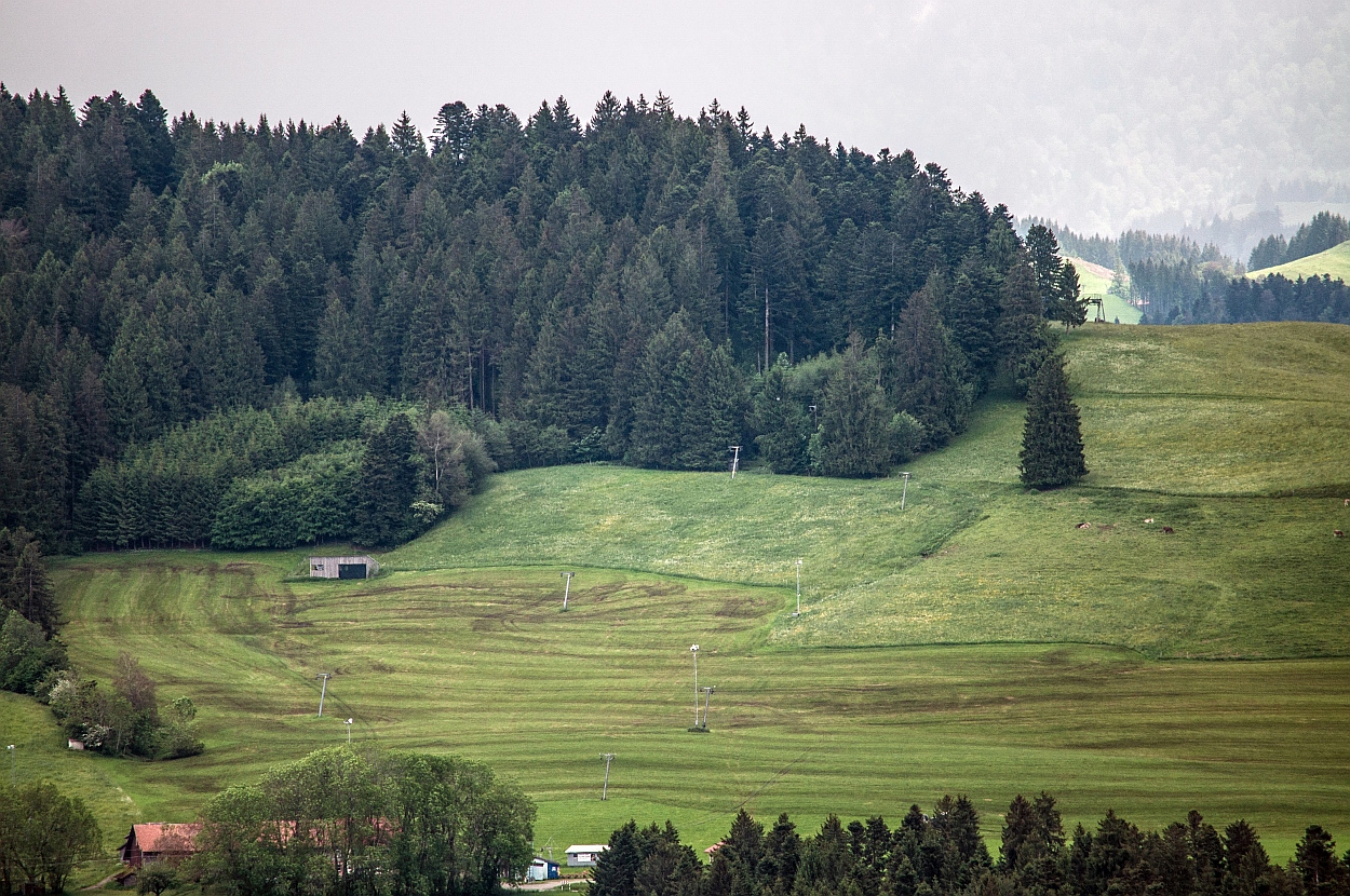 _dsc0257cyp25.jpg