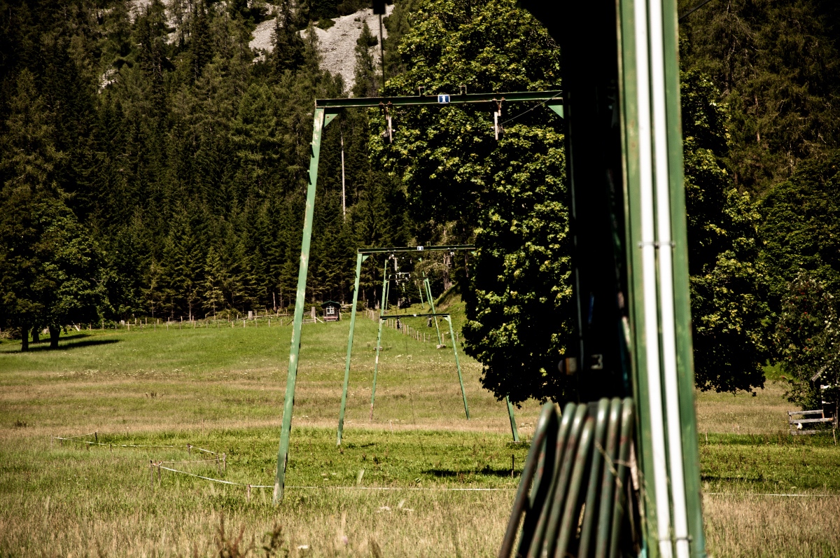 _dsc0259fcqjg.jpg