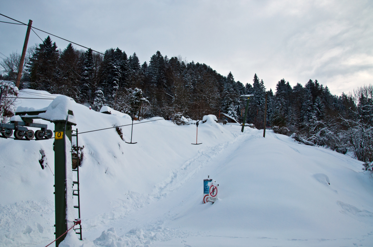 _dsc0259tskeu.jpg