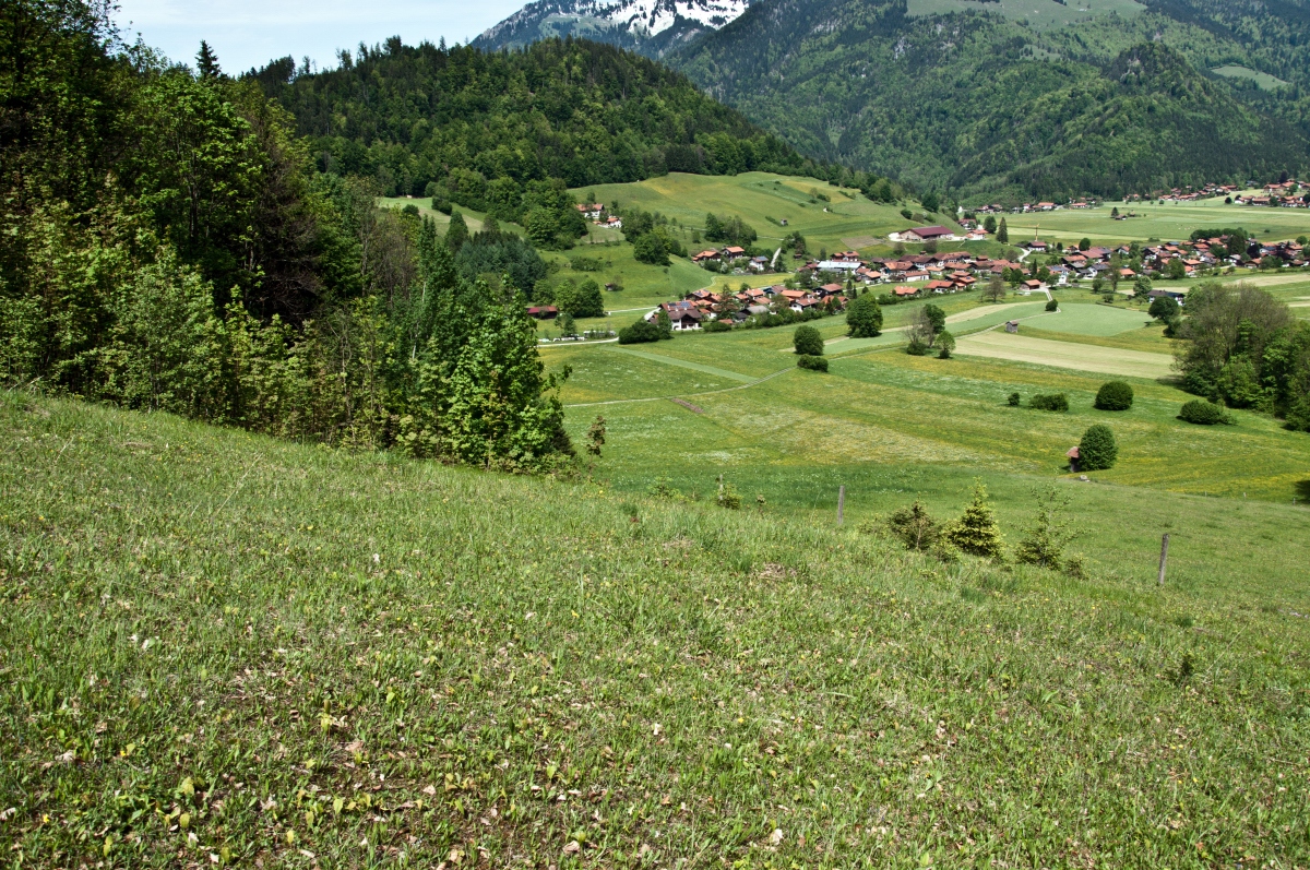 _dsc0260sfiwc.jpg