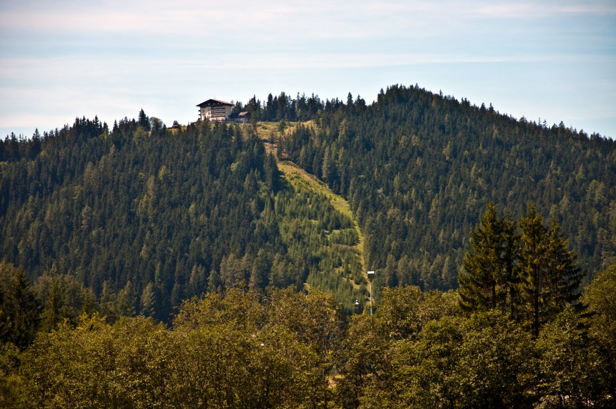 _dsc0263yapj0.jpg