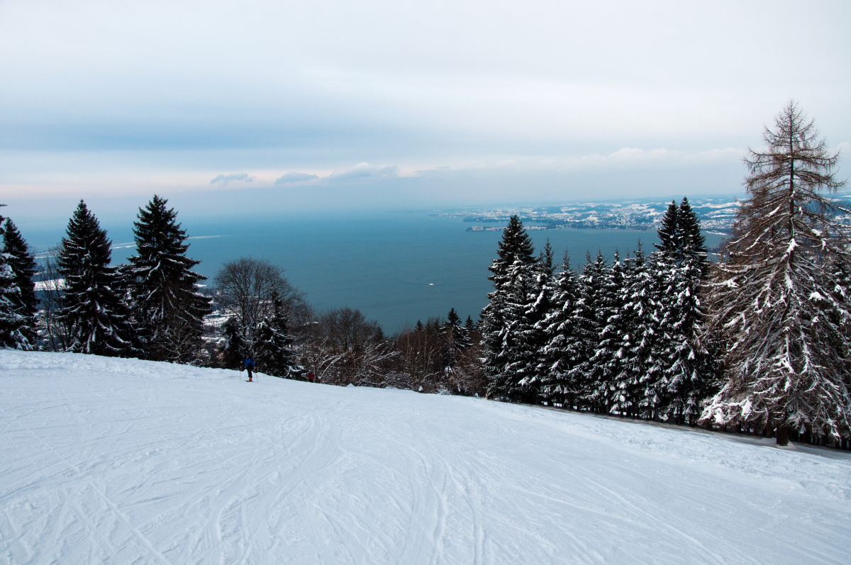 _dsc0265b3jg0.jpg