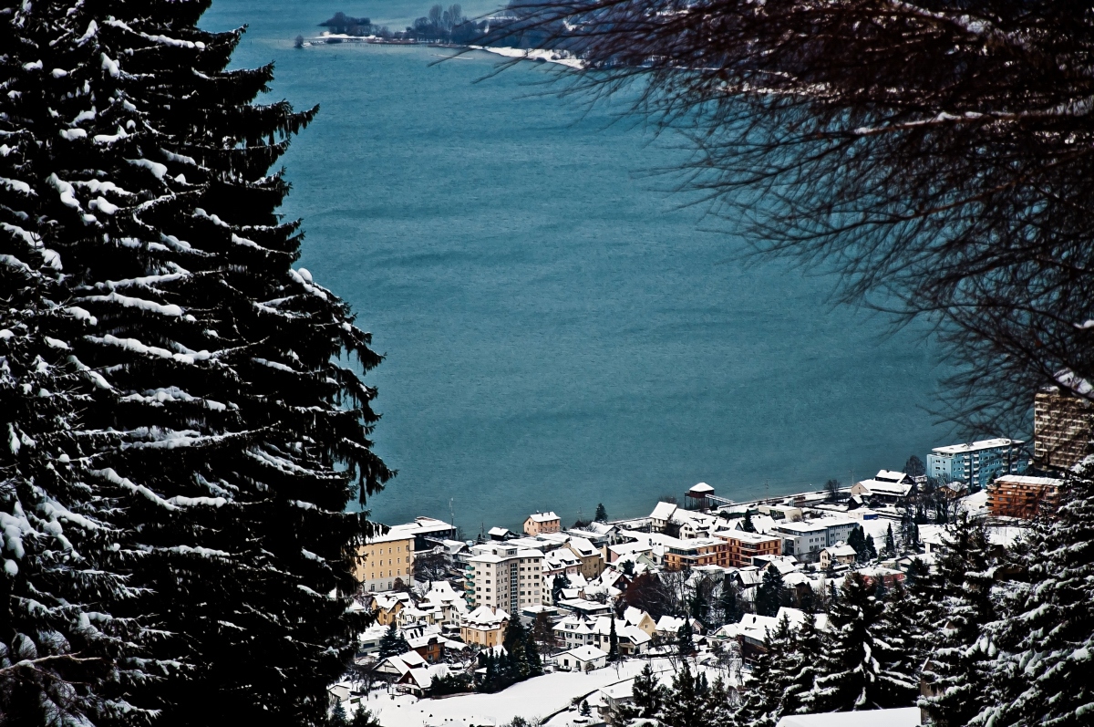 _dsc0266e5j0m.jpg