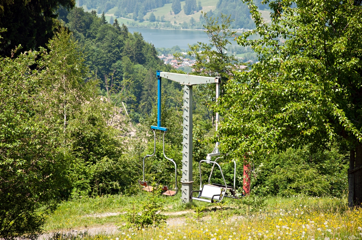 _dsc026985kmo.jpg