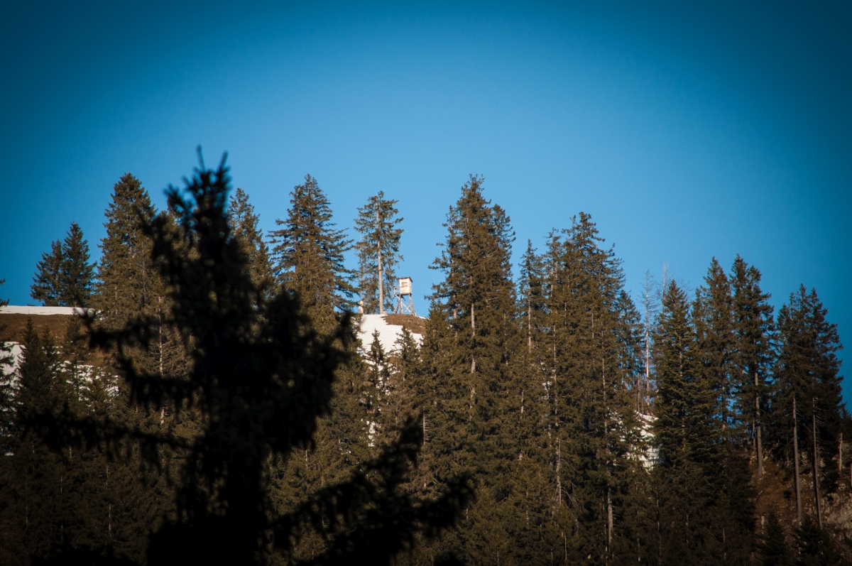 _dsc0270v5jgf.jpg