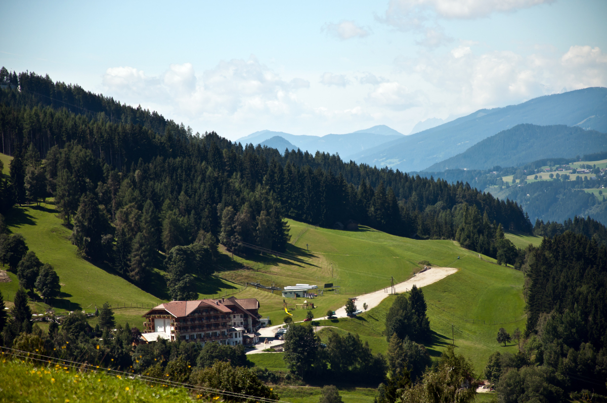 _dsc0275drkec.jpg