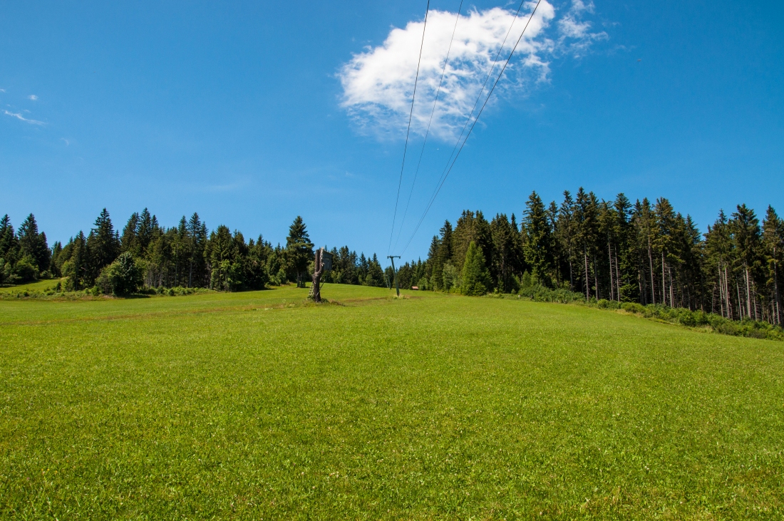 _dsc0282vsd5d.jpg