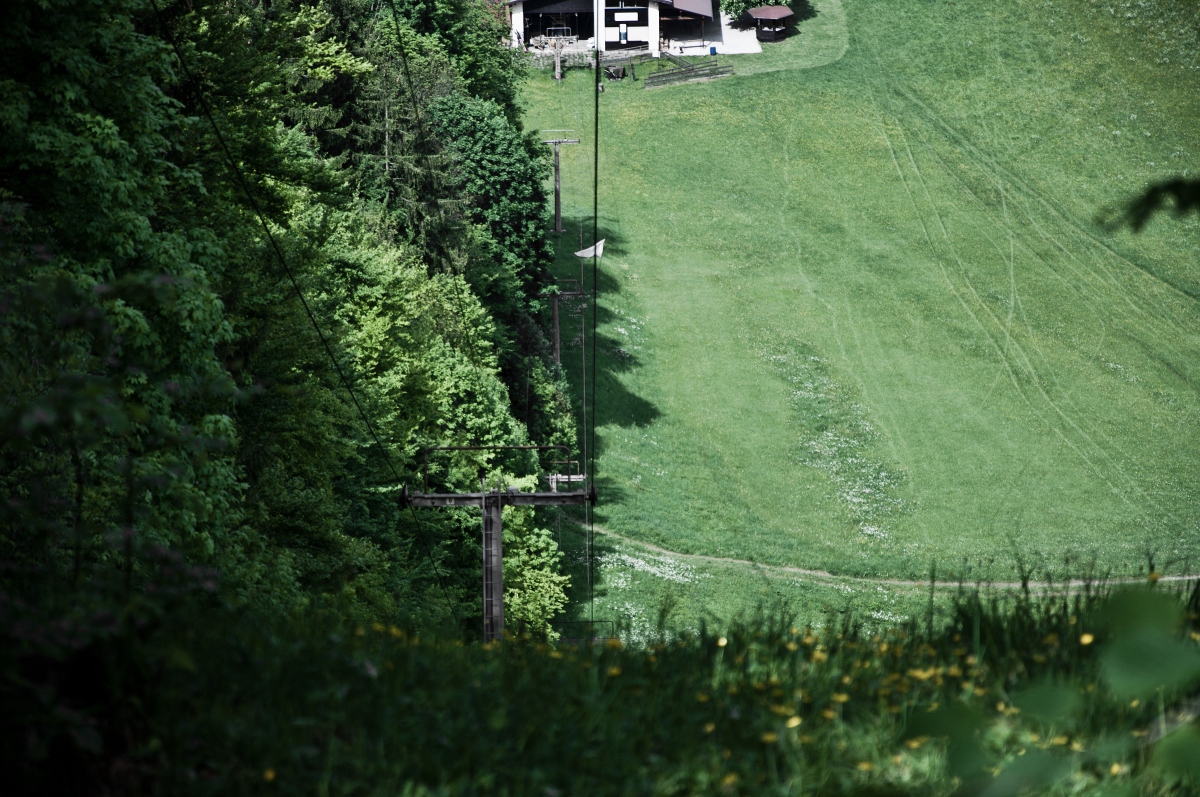 _dsc0284burdg.jpg
