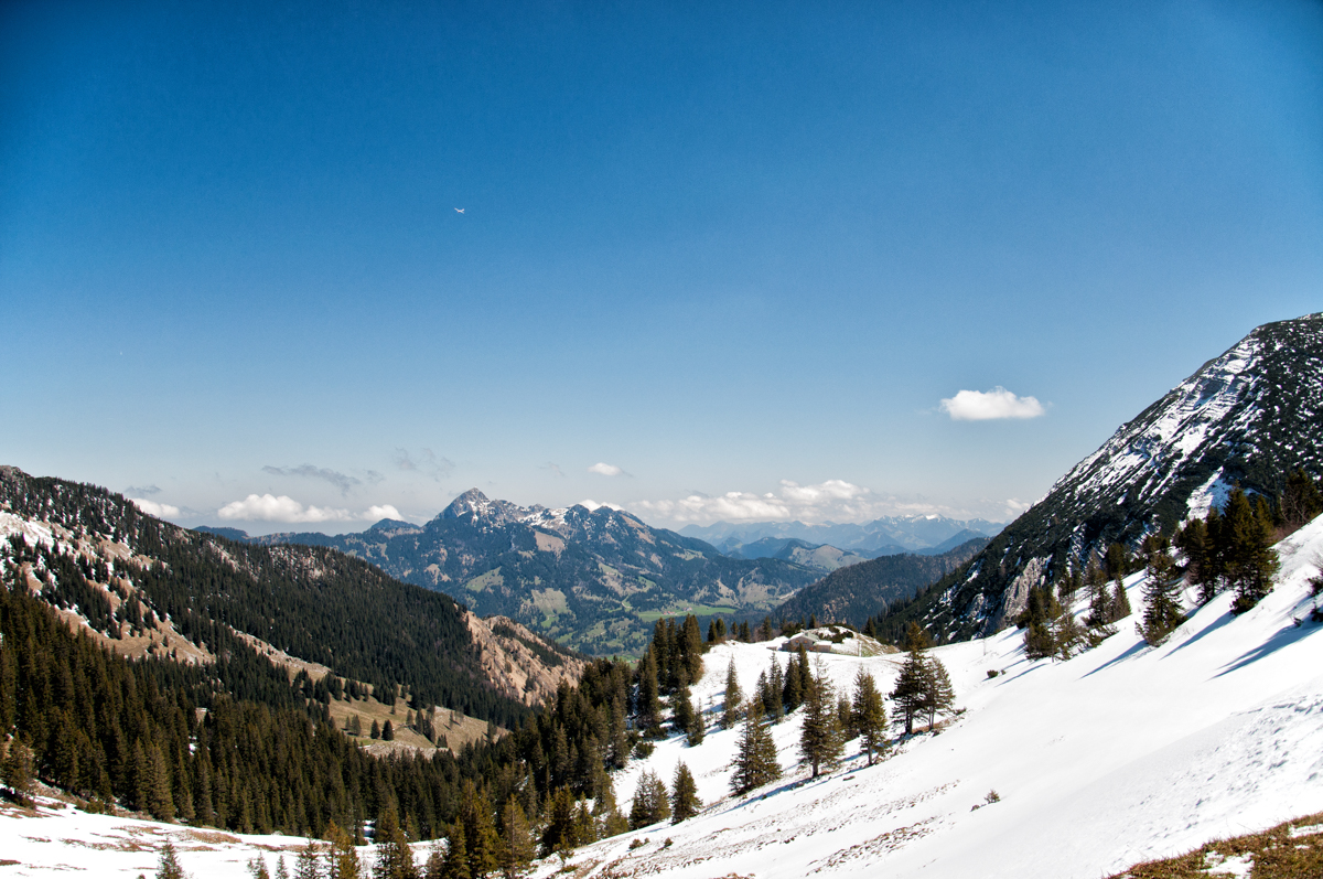 _dsc0287wvbjr.jpg