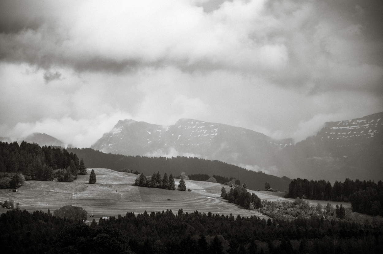 _dsc029284q20.jpg