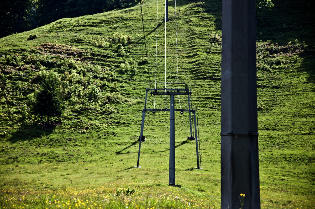 _dsc0293q2rlb.jpg