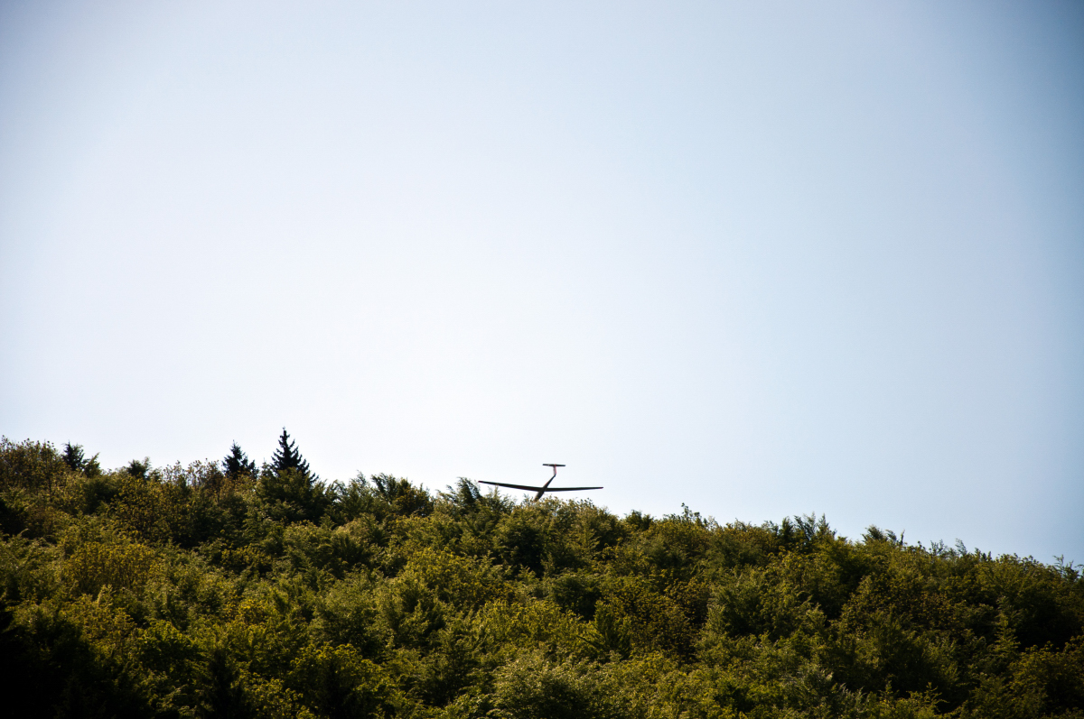 _dsc02948np4a.jpg