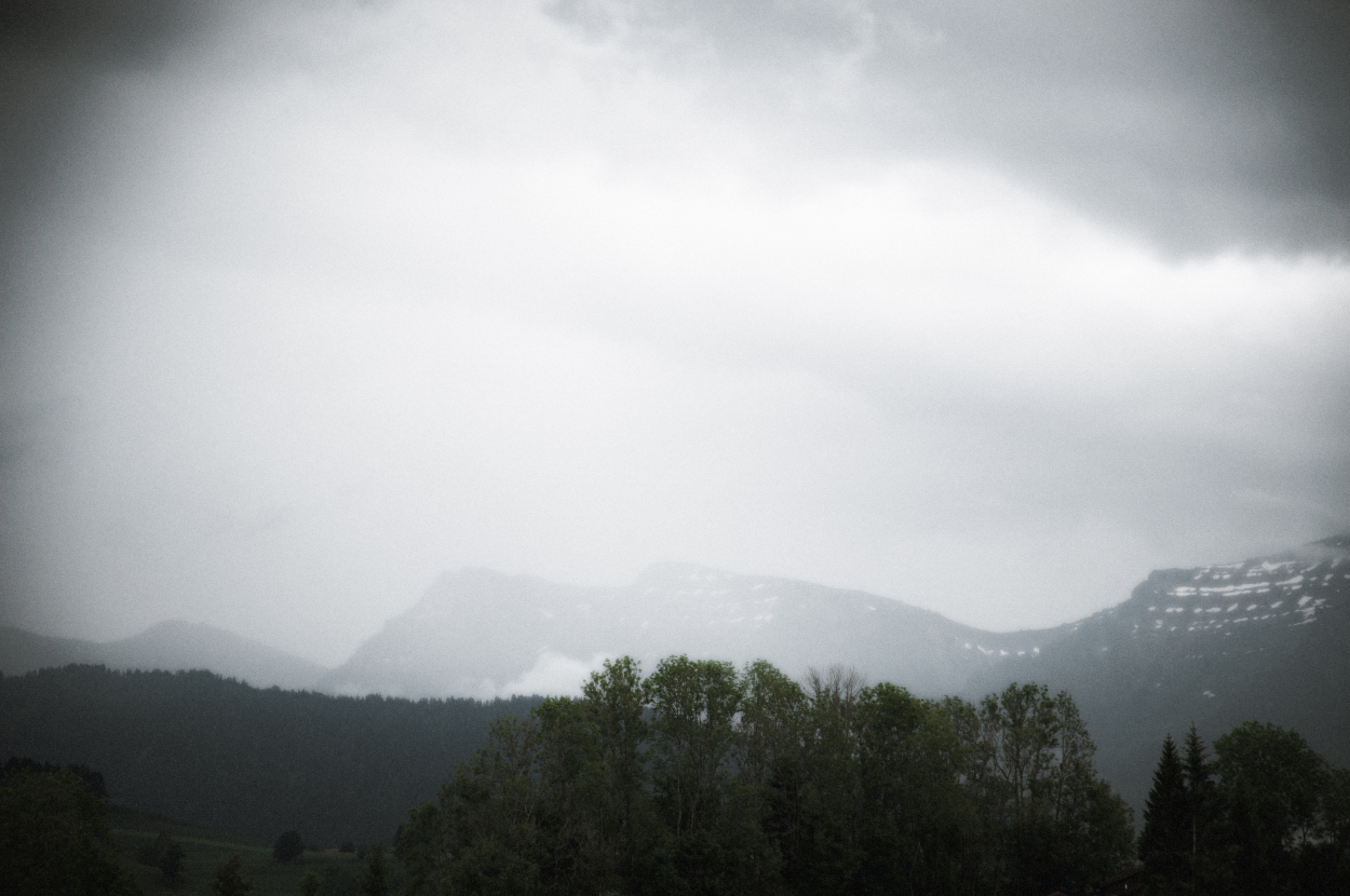 _dsc0295qurct.jpg