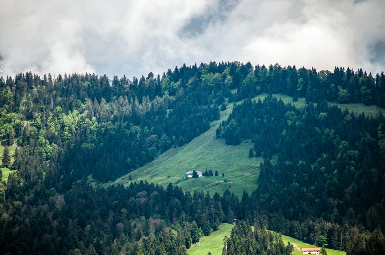 _dsc0296a7ph6.jpg