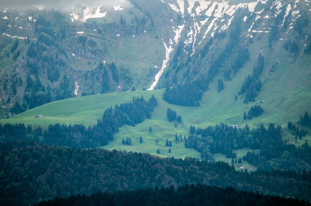 _dsc03025zpnl.jpg