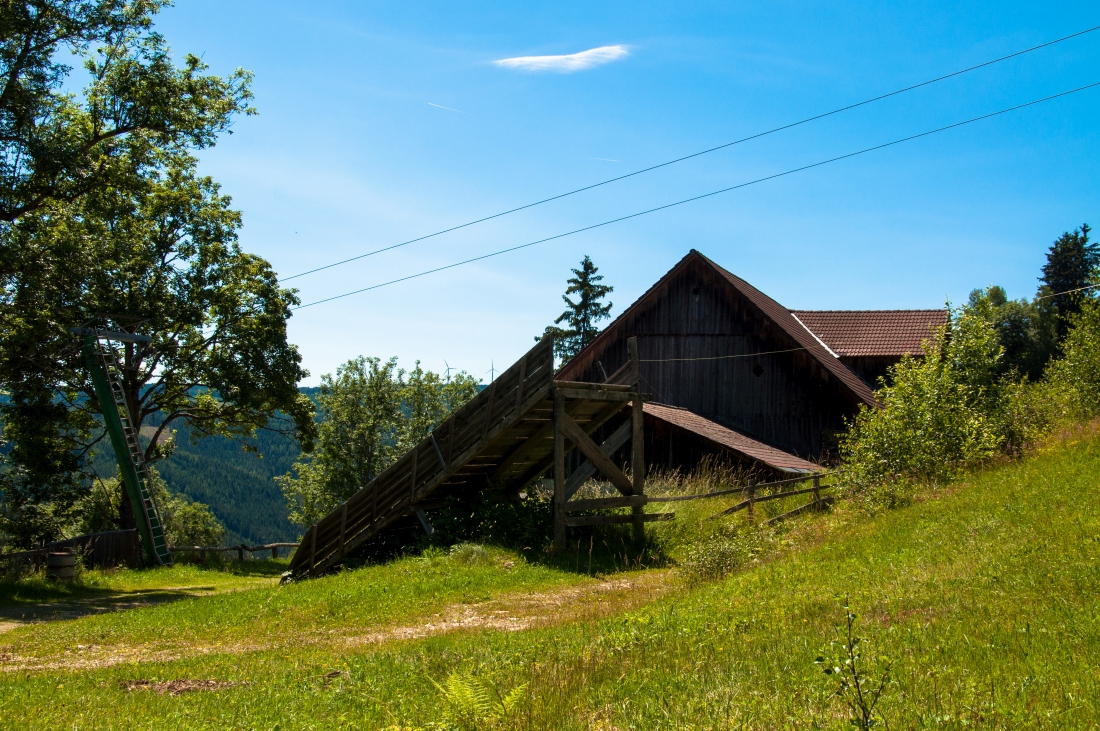 _dsc0304wgf68.jpg