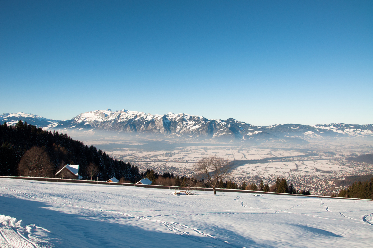 _dsc03081tklb.jpg