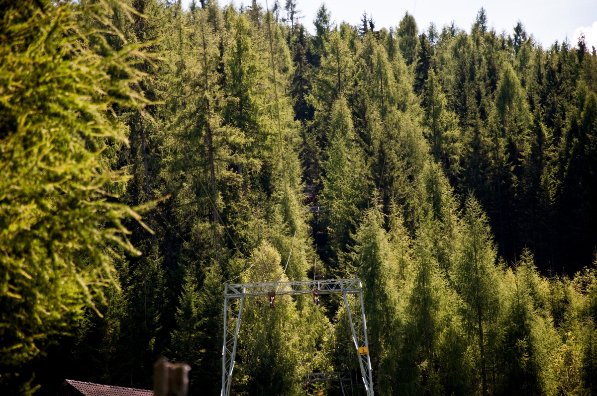 _dsc0309pfjc3.jpg