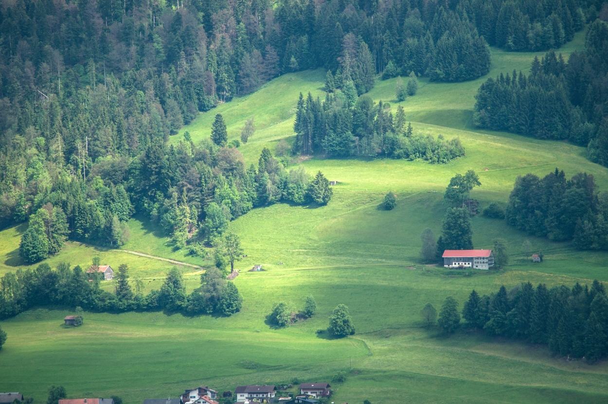_dsc03100erpv.jpg