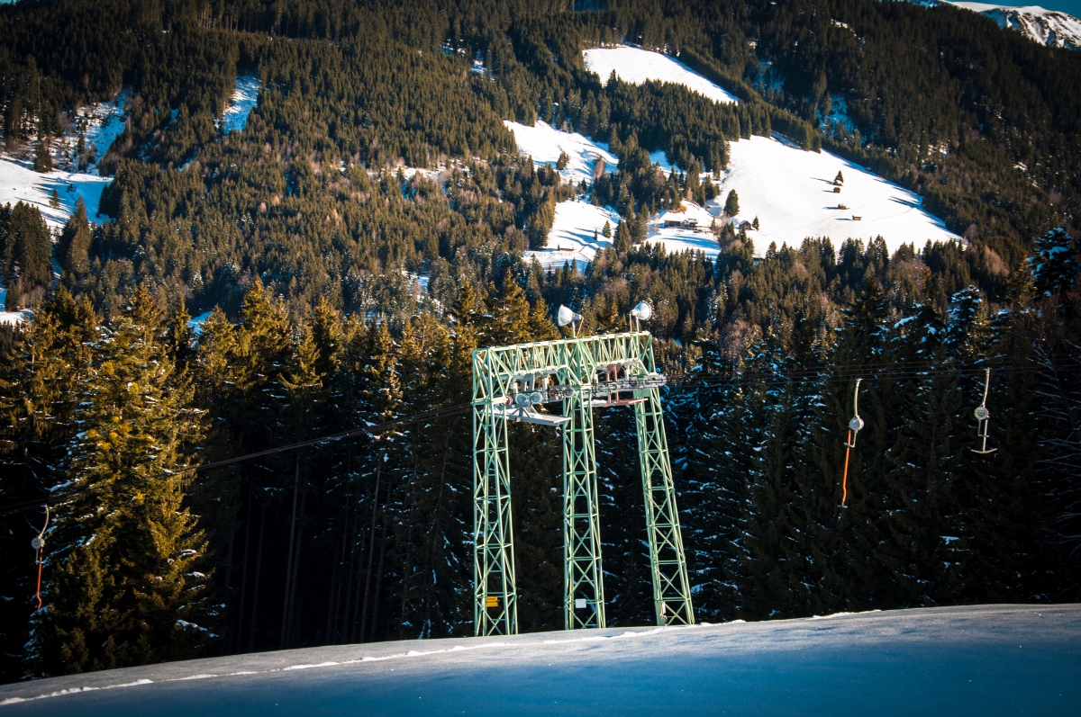 _dsc031553jfx.jpg