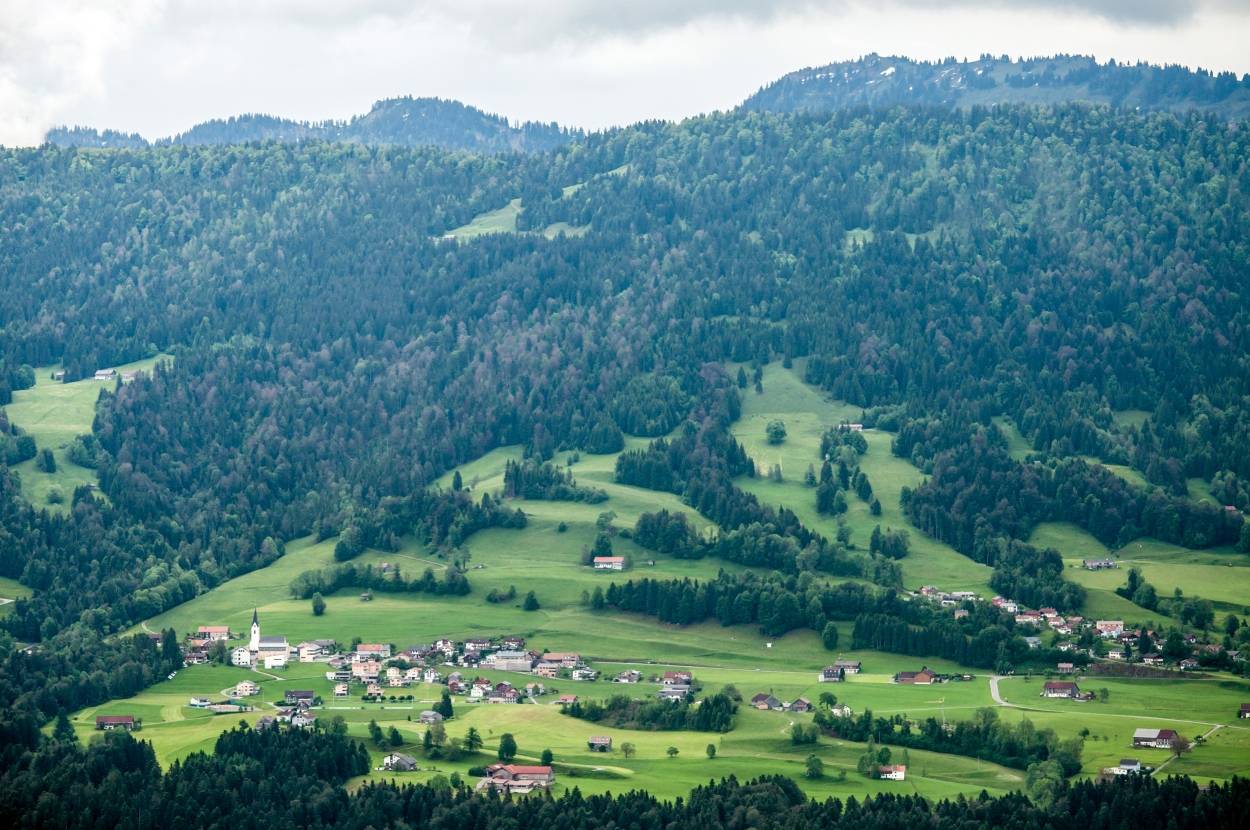 _dsc03190srem.jpg