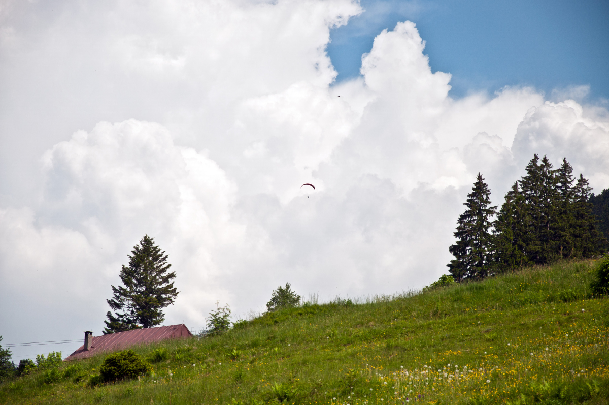 _dsc0319e2ks4.jpg