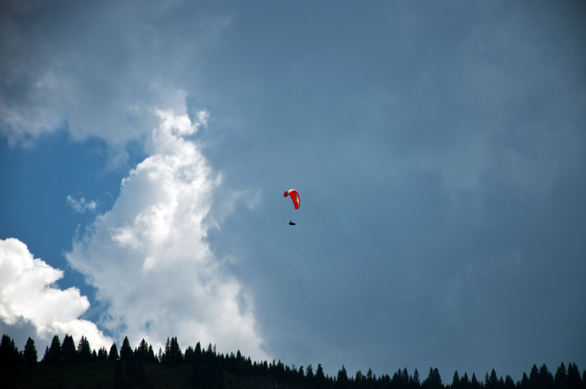_dsc0320fszsl.jpg