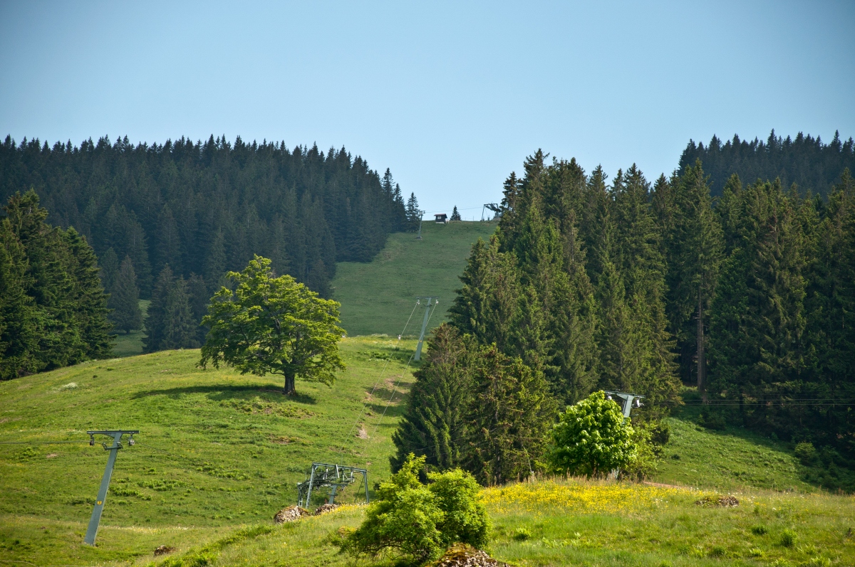 _dsc0321bcx21.jpg