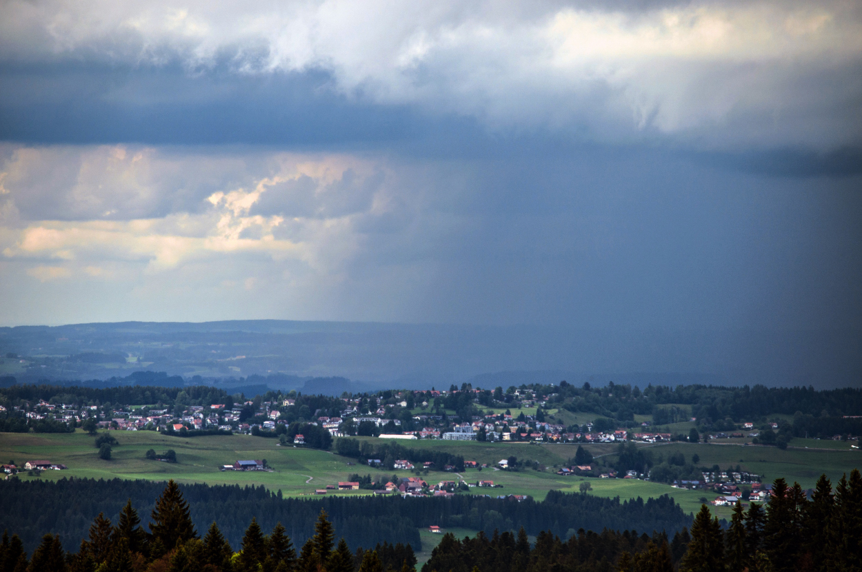 _dsc0325wiql8.jpg