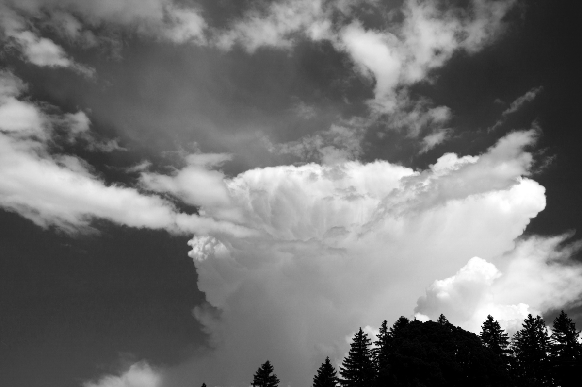_dsc0326d0zb3.jpg