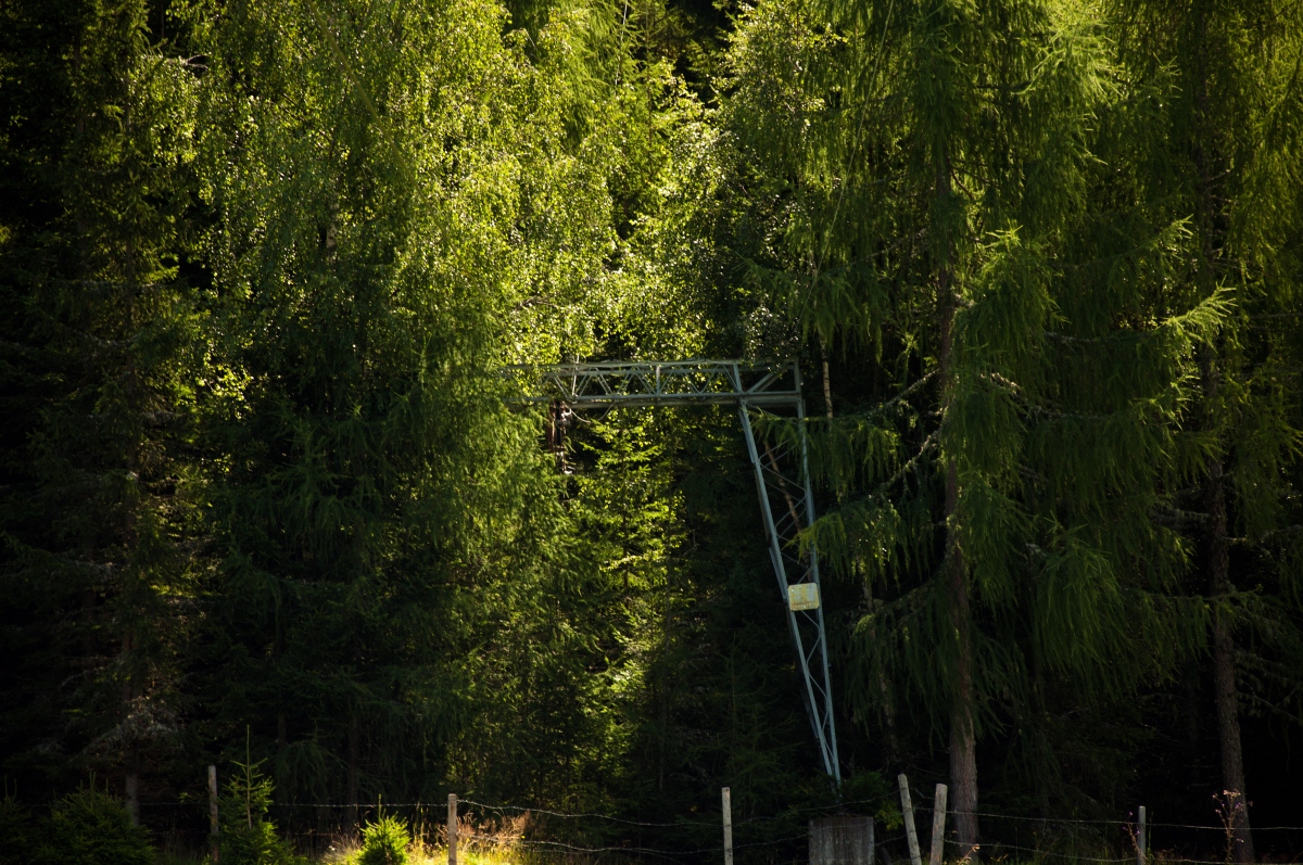 _dsc0326fikif.jpg